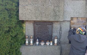 3fa3a550-ca14-4578-80c2-77ad3025d287